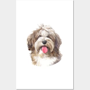 Chocolate Havanese Watercolor Art Posters and Art